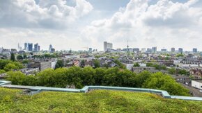 Green climate adaptive urban development standard