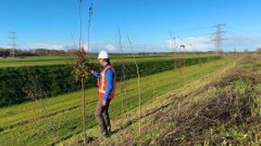 Woodland development Veenoord-Boerdijk