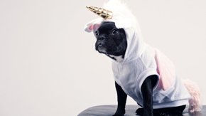 Beat the Unicorn: Atychiphobia