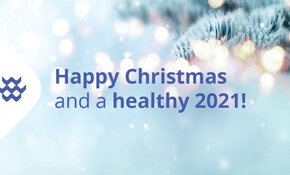 TAUW vous souhaite un joyeux Noël et une bonne année !