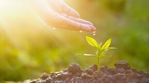 The necessity of healthy soils