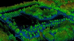 High-density point cloud algorithm to map trees in Amsterdam